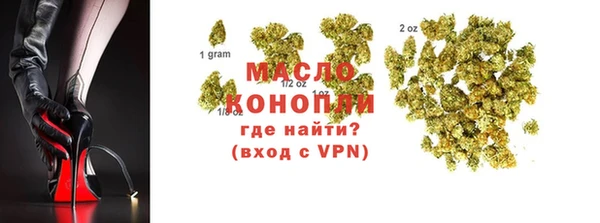СК Ивангород