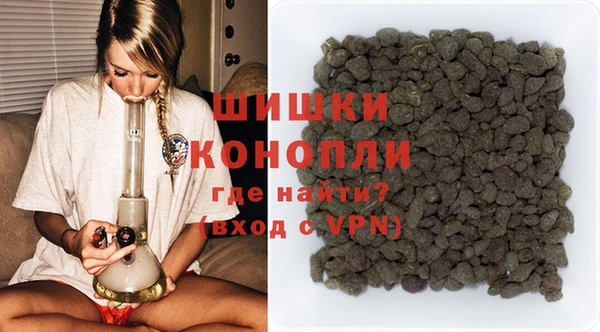 прущие грибы Горняк