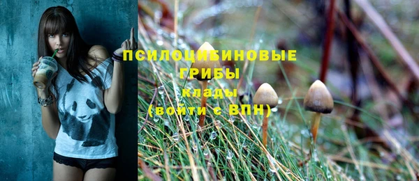 прущие грибы Горняк