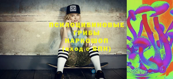 прущие грибы Горняк