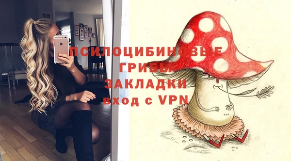 соль курить ск Вязьма