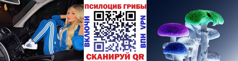 где найти   гидра ССЫЛКА  Псилоцибиновые грибы мухоморы  Георгиевск 