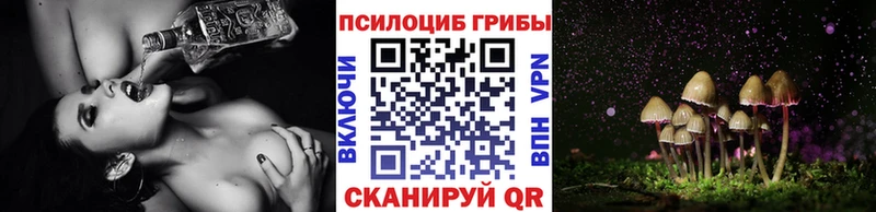Галлюциногенные грибы Psilocybine cubensis Георгиевск