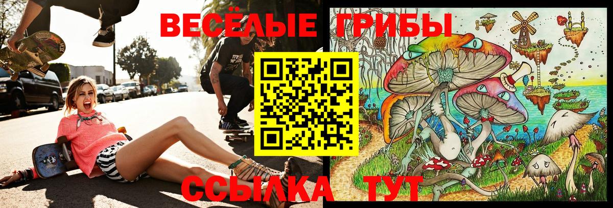 Георгиевск  Псилоцибиновые грибы прущие грибы  Вход с VPN 