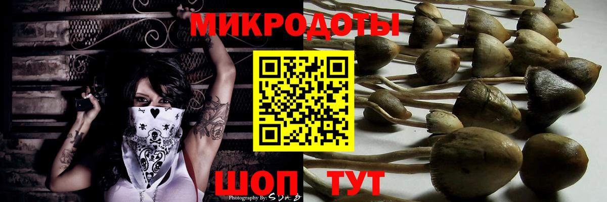 Псилоцибиновые грибы MAGIC MUSHROOMS Георгиевск